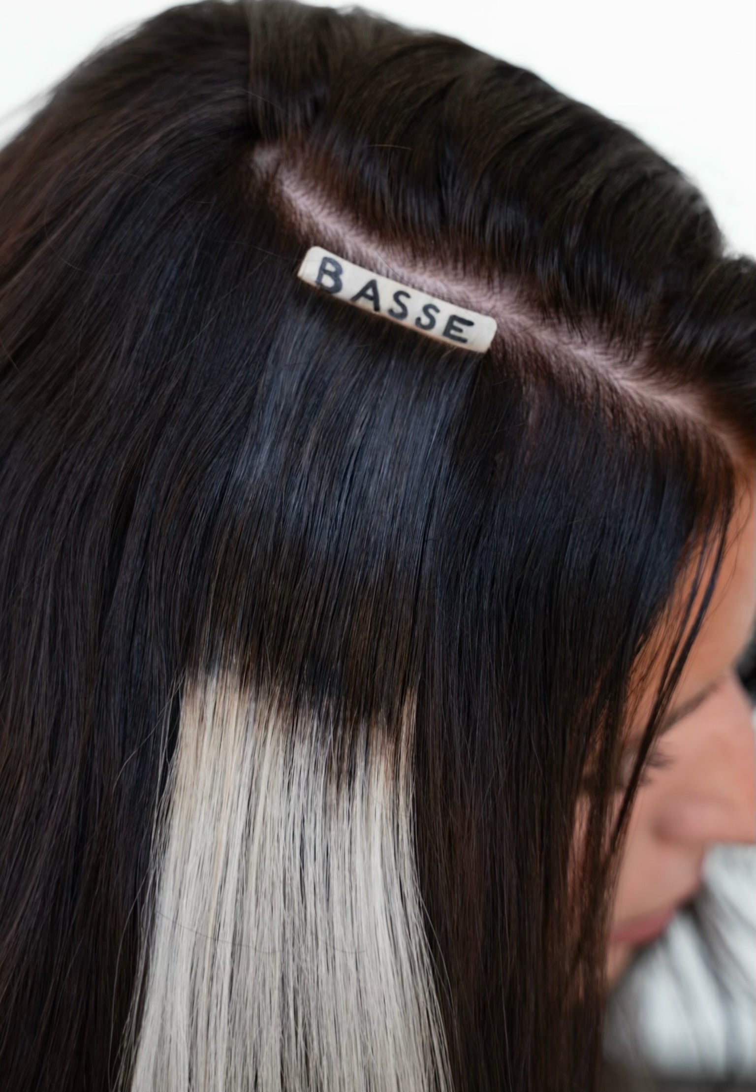 BASSE Extension Band Pigments - 5 Pack Collection